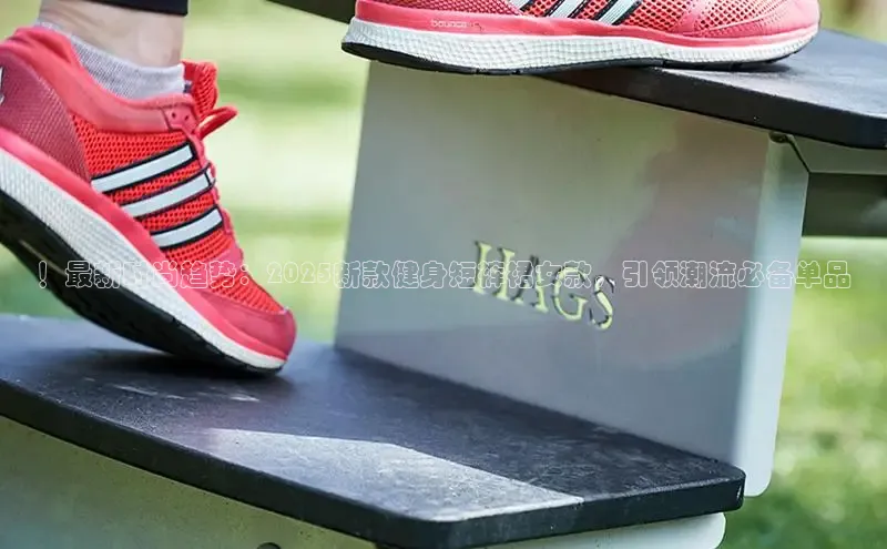 304永利集团官网入口